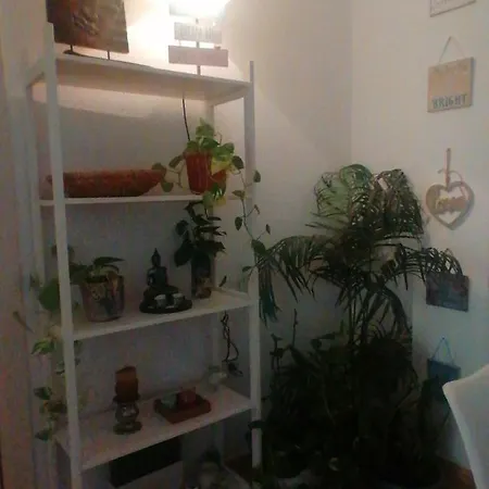 Sabor A Hogar Y Mas Apartmán Cho